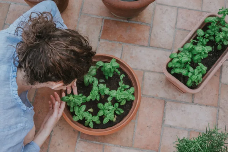 Bigger Isn't Better: The Container Size Mistake That's Quietly Ruining Your Harvest