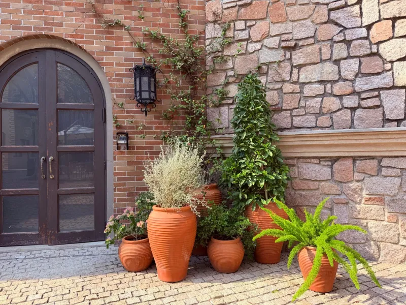 Step Outside, Cook Something Amazing: How Container Gardens Are Changing the Way Americans Eat