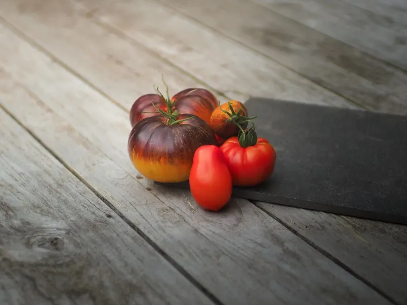 Why Home Gardeners Are Ditching Grocery Store Tomatoes and Growing Their Own Heirlooms