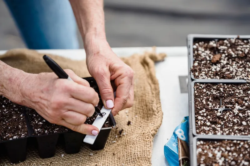 What That Seed Packet Is Really Telling You (And Why It Matters for Container Growers)