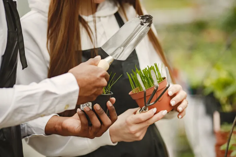 Grow More Together: How Swapping Pots and Seeds With Your Neighbors Transforms Every Container Garden on the Block