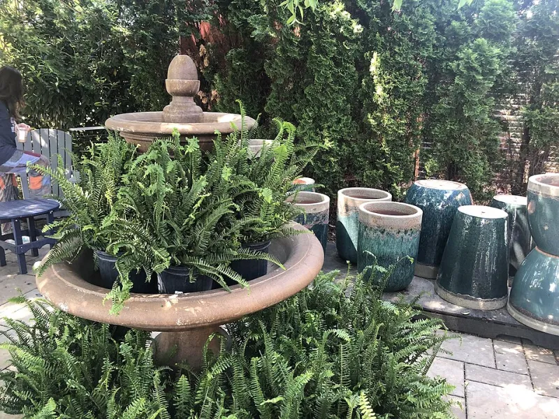 Salad for One, Grown in One: Designing a Single Pot That Feeds You All Season