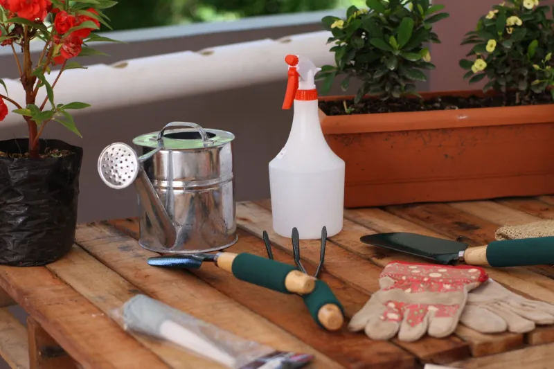 No Chemicals, No Problem: Keeping Pests Off Your Patio Vegetables the Organic Way