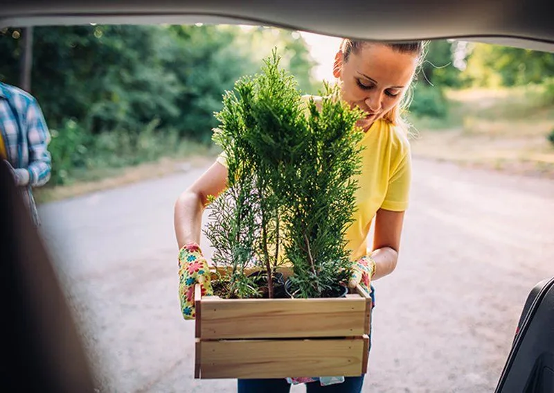 Your Garden Doesn't Have to Stay Behind: Moving a Container Garden Across State Lines