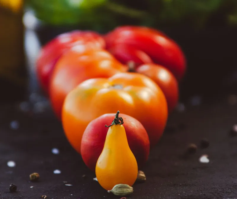 Small Pot, Big Taste: How Picking the Right Seed Variety Crushes Everything Else You Could Do for Your Garden