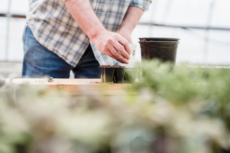 What's Actually in That Bag? The Truth About Potting Mix and Why It Could Be Killing Your Seeds